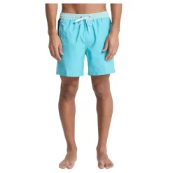 Bañadores Quiksilver Everyday Holmes Volley 16