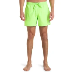 Bañadores Quiksilver Everyday Solid Volley 15