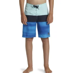 Bañadores Quiksilver Everyday Panel Yth 17