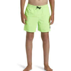 Bañadores Quiksilver Everyday Solid Volley Yth 14