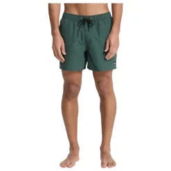 Bañadores Quiksilver Everyday Volley 15