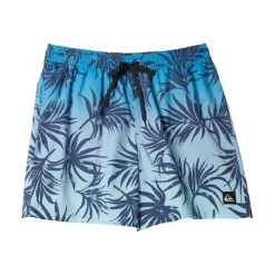 Bañadores Quiksilver Everyday Mix Volley 15