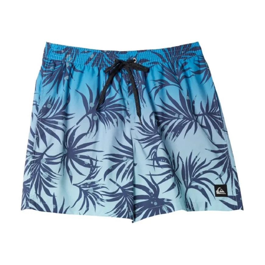 Bañadores Quiksilver Everyday Mix Volley 15
