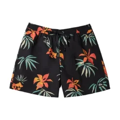 Bañadores Quiksilver Everyday Mix Volley 15