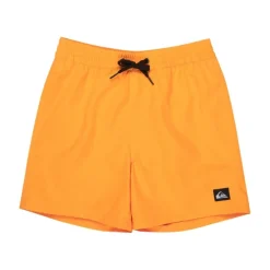 Bañadores Quiksilver Everyday Volley Yth 14