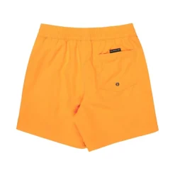 Bañadores Quiksilver Everyday Volley Yth 14