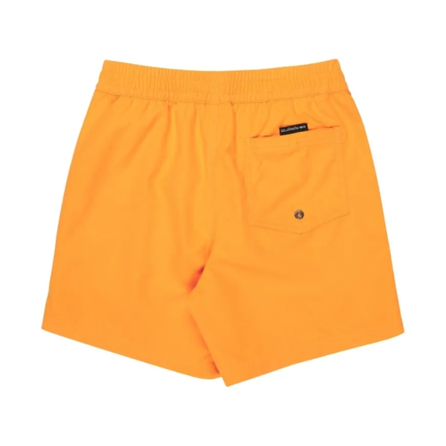 Bañadores Quiksilver Everyday Volley Yth 14