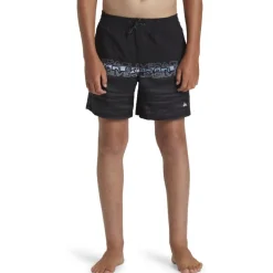 Bañadores Quiksilver SMU Everyday Wordblock Vly Yth 17