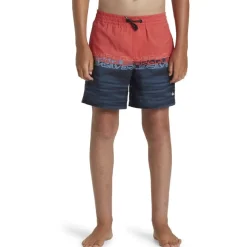 Bañadores Quiksilver SMU Everyday Wordblock Vly Yth 22