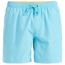 Bañadores Quiksilver Spl Fineline Volley 15