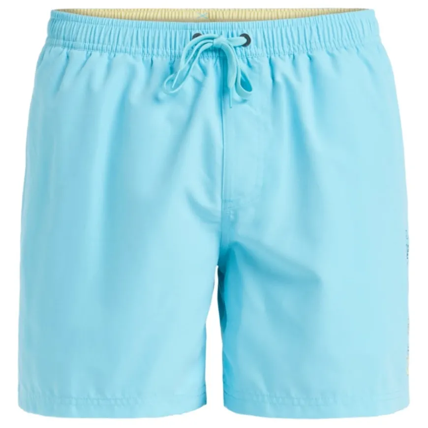 Bañadores Quiksilver Spl Fineline Volley 15