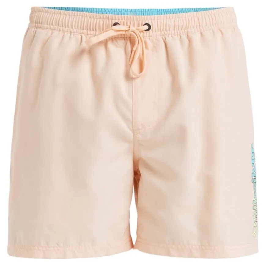 Bañadores Quiksilver Spl Fineline Volley 15