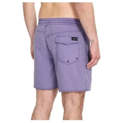 Bañadores Volcom Center Trunk 17