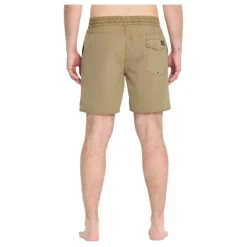Bañadores Volcom Center Trunk 17