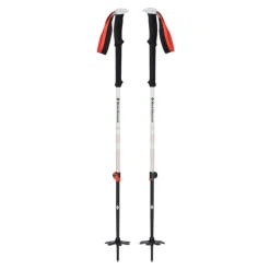 Bastones Black diamond Expedition 2 Ski Poles
