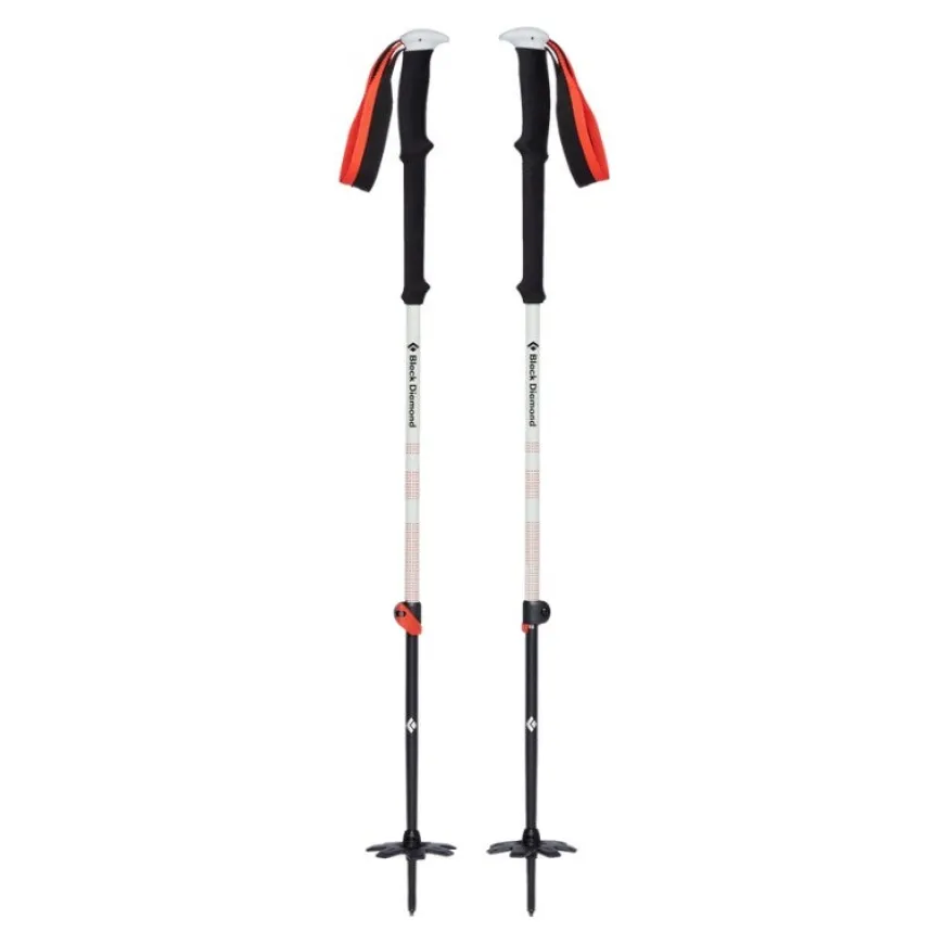 Bastones Black diamond Expedition 2 Ski Poles