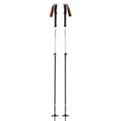 Bastones Black diamond Expedition 2 Ski Poles