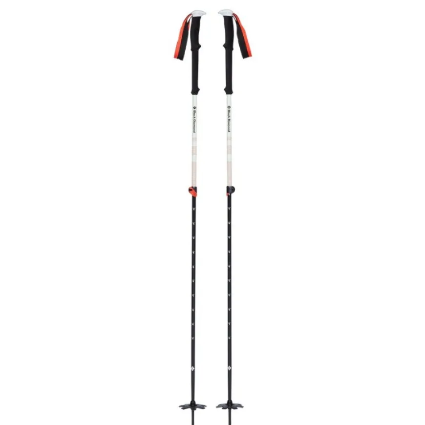 Bastones Black diamond Expedition 2 Ski Poles