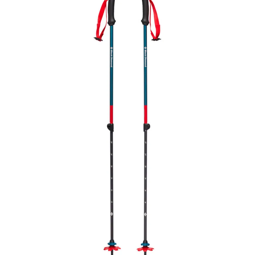 Bastones Black diamond First Strike Trek Poles