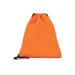 Bolsas y mochilas Champion Satchel