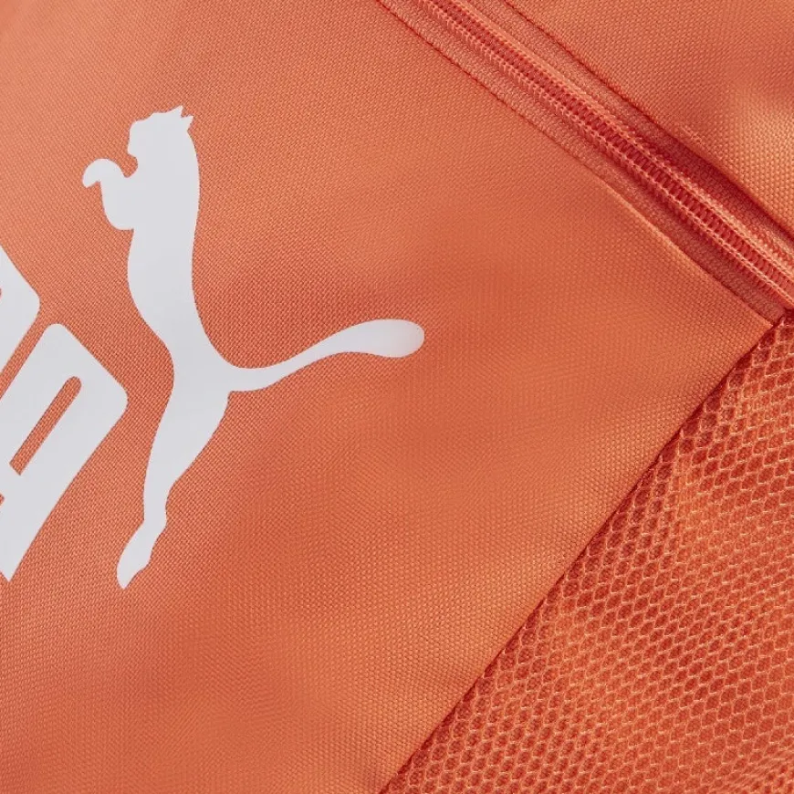Bolsas y mochilas Puma PUMA Phase Backpack