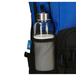 Bolsas y mochilas Reebok Mochila 45Cm Reebok Malden Azul