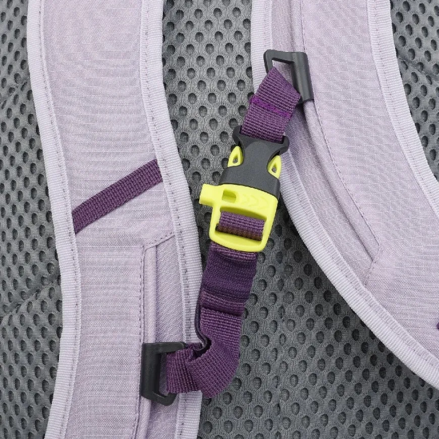 Bolsas y mochilas Regatta Highton V2 25L