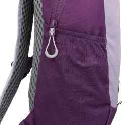 Bolsas y mochilas Regatta Highton V2 25L