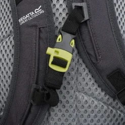 Bolsas y mochilas Regatta HIghton v2 20L