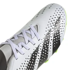 Botas fútbol Adidas Predator Accuracy.4 Fxg