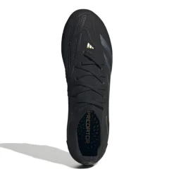 Botas fútbol Adidas Predator Pro Fg