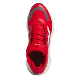Calzado básquet Adidas Bounce Legends