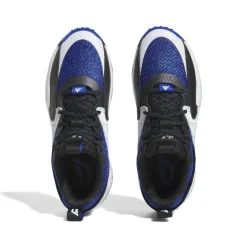 Calzado básquet Adidas Dame Certified