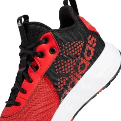 Calzado básquet Adidas Ownthegame 2.0