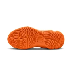 Calzado básquet Nike Giannis Immortality 4 (Gs)