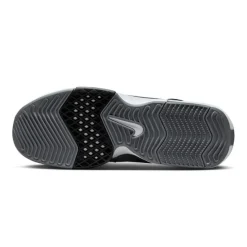 Calzado básquet Nike Lebron Witness Viii
