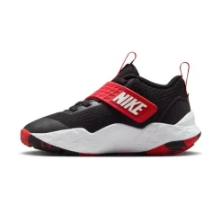 Calzado básquet Nike Team Hustle D 12 (Ps)