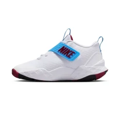 Calzado básquet Nike Team Hustle D 12 (Gs)