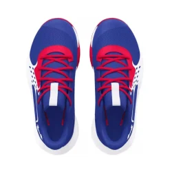Calzado básquet Under armour UA Lockdown 7