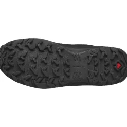 Calzado montaña Salomon Shoes X Braze GTX W