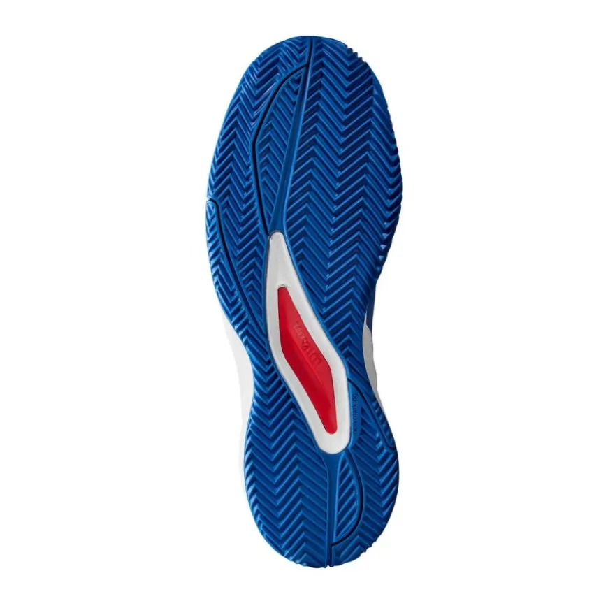Calzado tenis y pádel Wilson Rush Pro Ace Clay