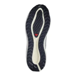 Calzado trail running Salomon Aero Blaze 3 Grvl