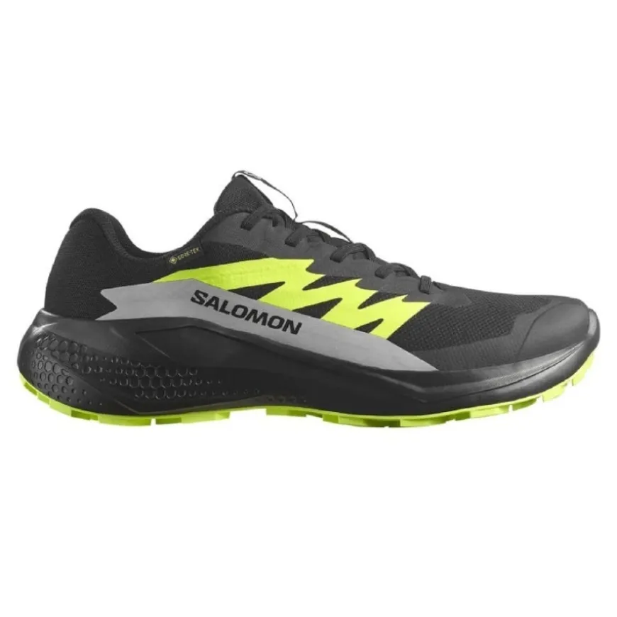 Calzado trail running Salomon Alphaglide Gtx