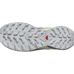 Calzado trail running Salomon Shoes X-Adventure Gtx