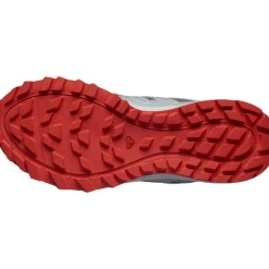 Calzado trail running Salomon SHOES WANDER Quiet Shade Lunar Rock Fird