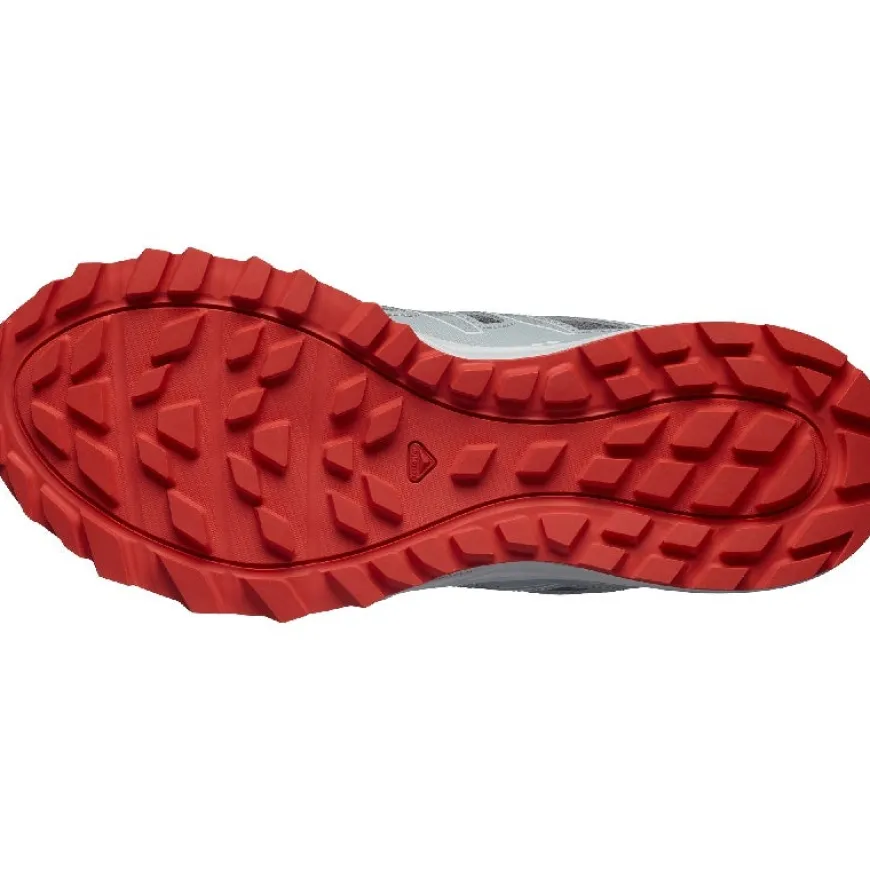 Calzado trail running Salomon SHOES WANDER Quiet Shade Lunar Rock Fird