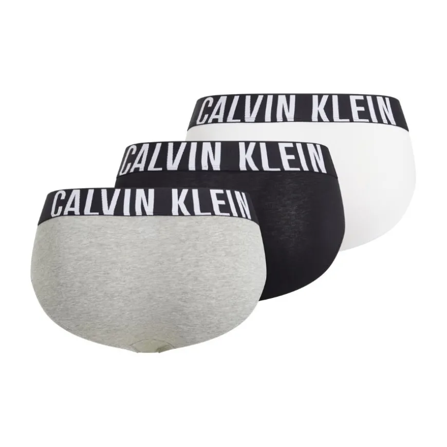 Calzoncillos Calvin klein Hip Brief 3Pk