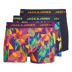 Calzoncillos Jack & jones Jacfall Leaves Trunks 3 Pack