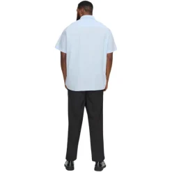 Camisas manga corta Jack & jones plus Jjebreeze Linen Blend Shirt Ss Sn Pls