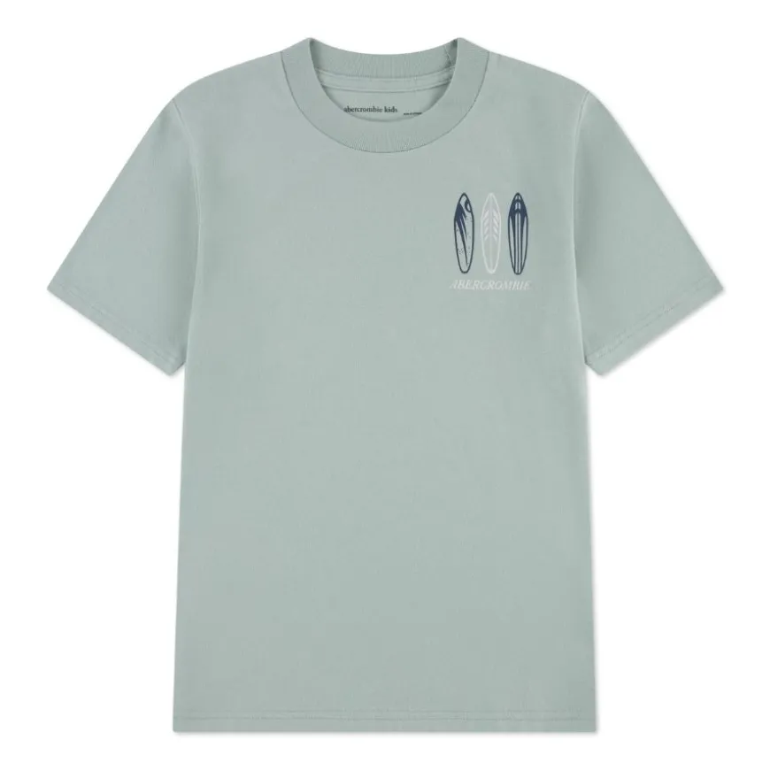 Camisetas manga corta Abercrombie Afb Surfs Up Tee